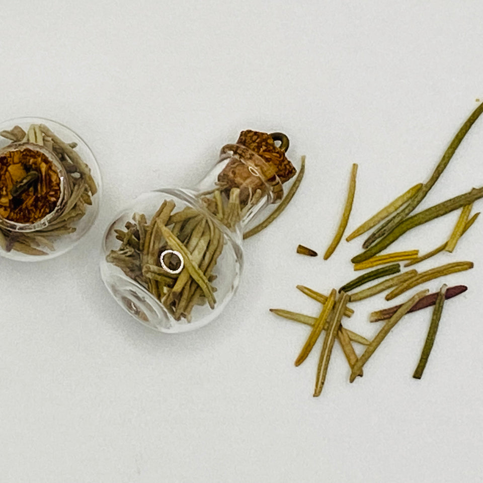 Bottle of dried Rosemary