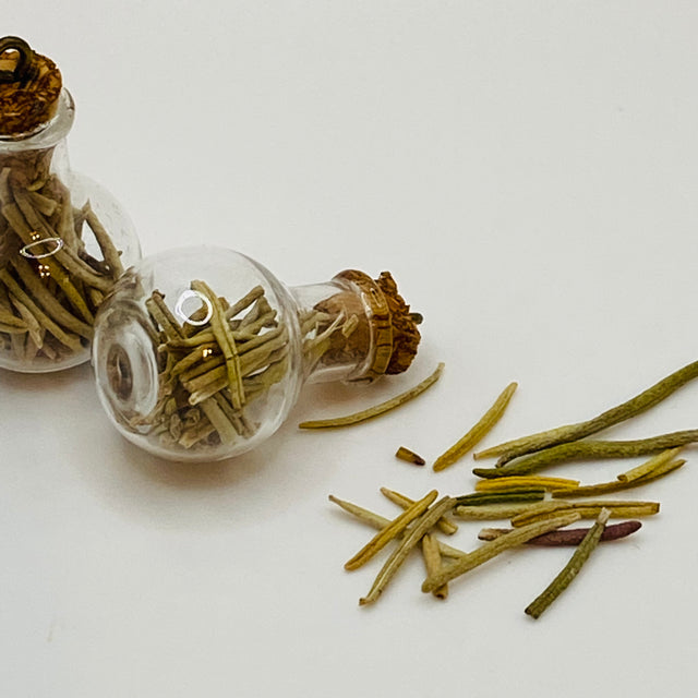 Bottle of dried Rosemary