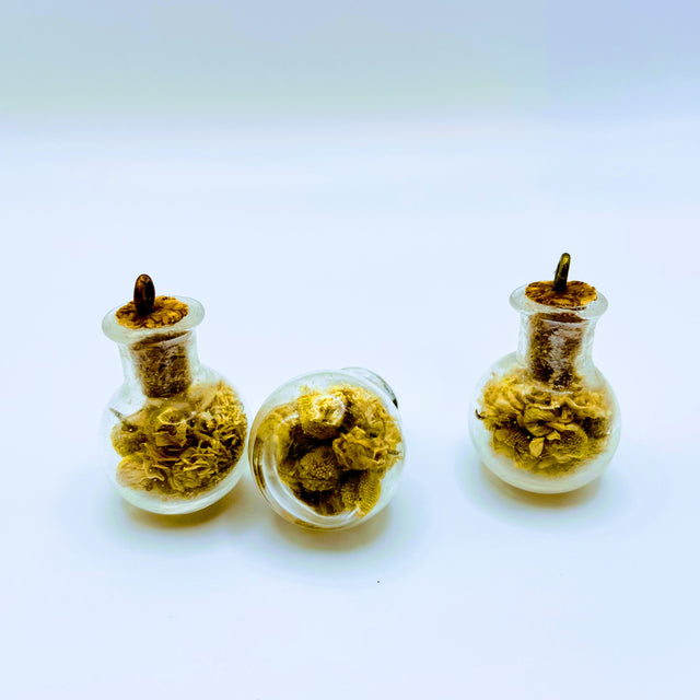 Bottle of dried Chamomile.