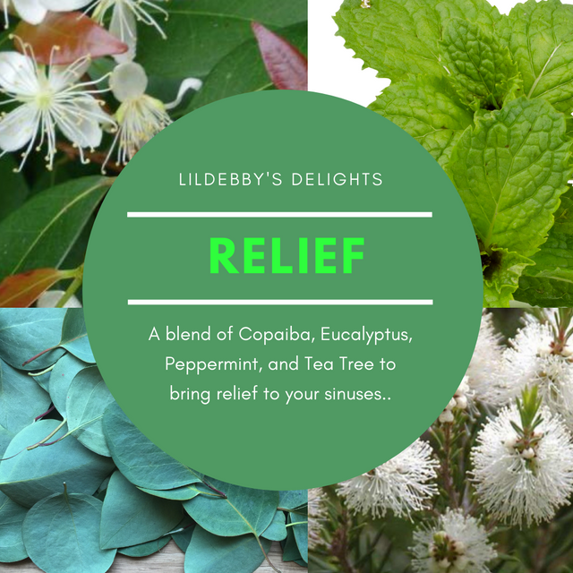 Shower Steamers. RELIEF essential oil blend bathroom fragrance.